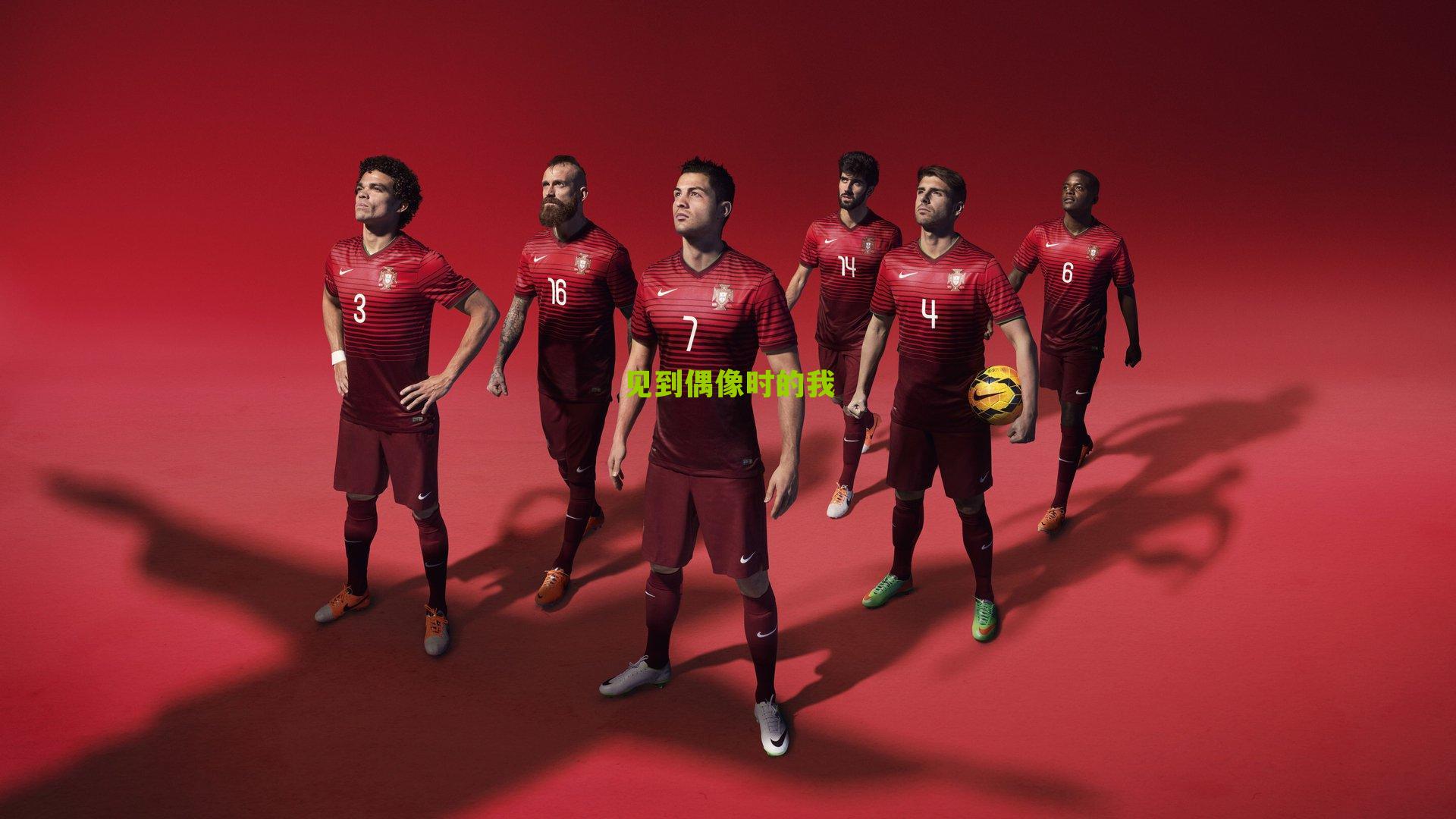 见到偶像时的我