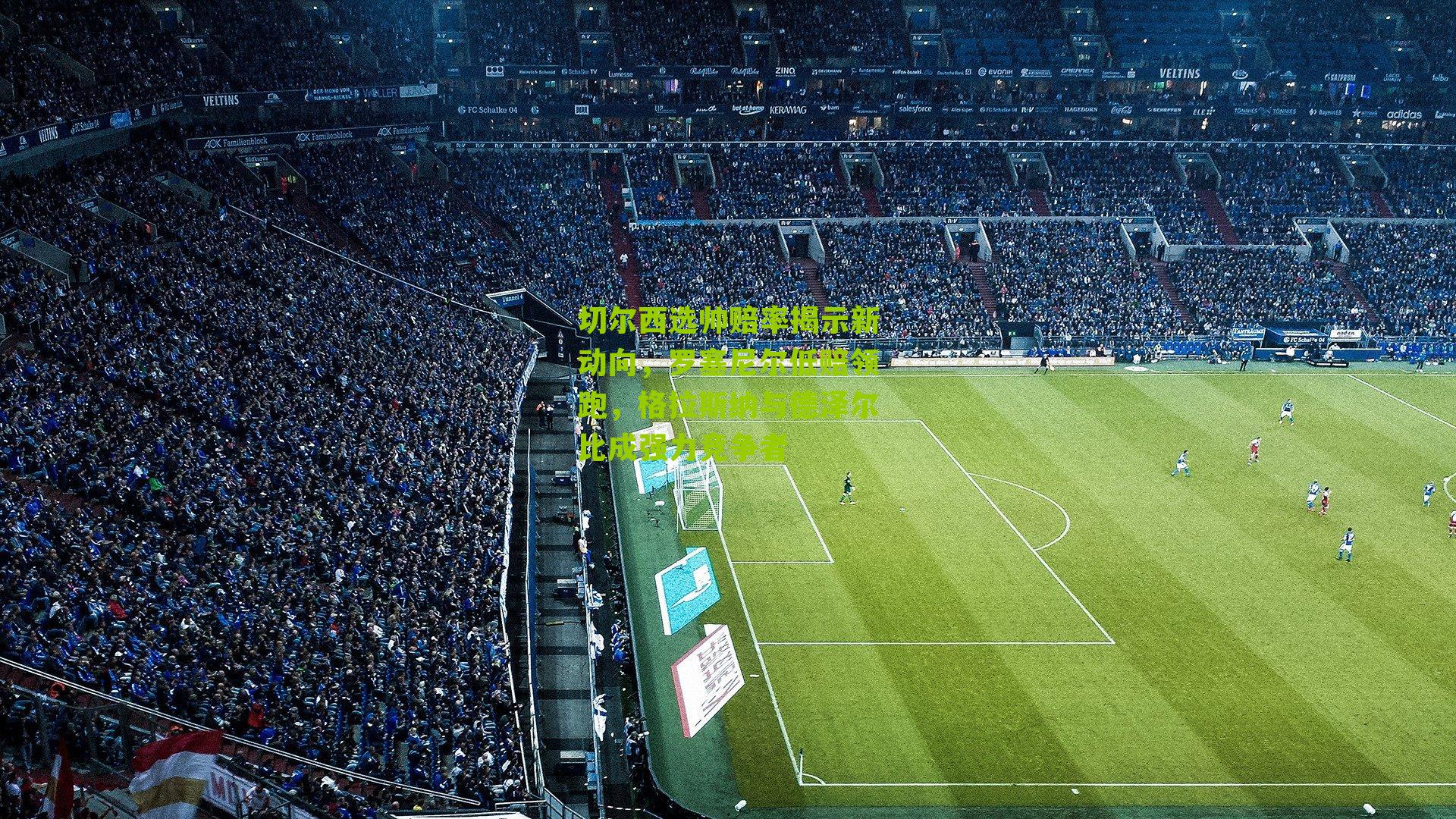 切尔西选帅赔率揭示新动向,罗塞尼尔低赔领跑,格拉斯纳与德泽尔比成强力竞争者